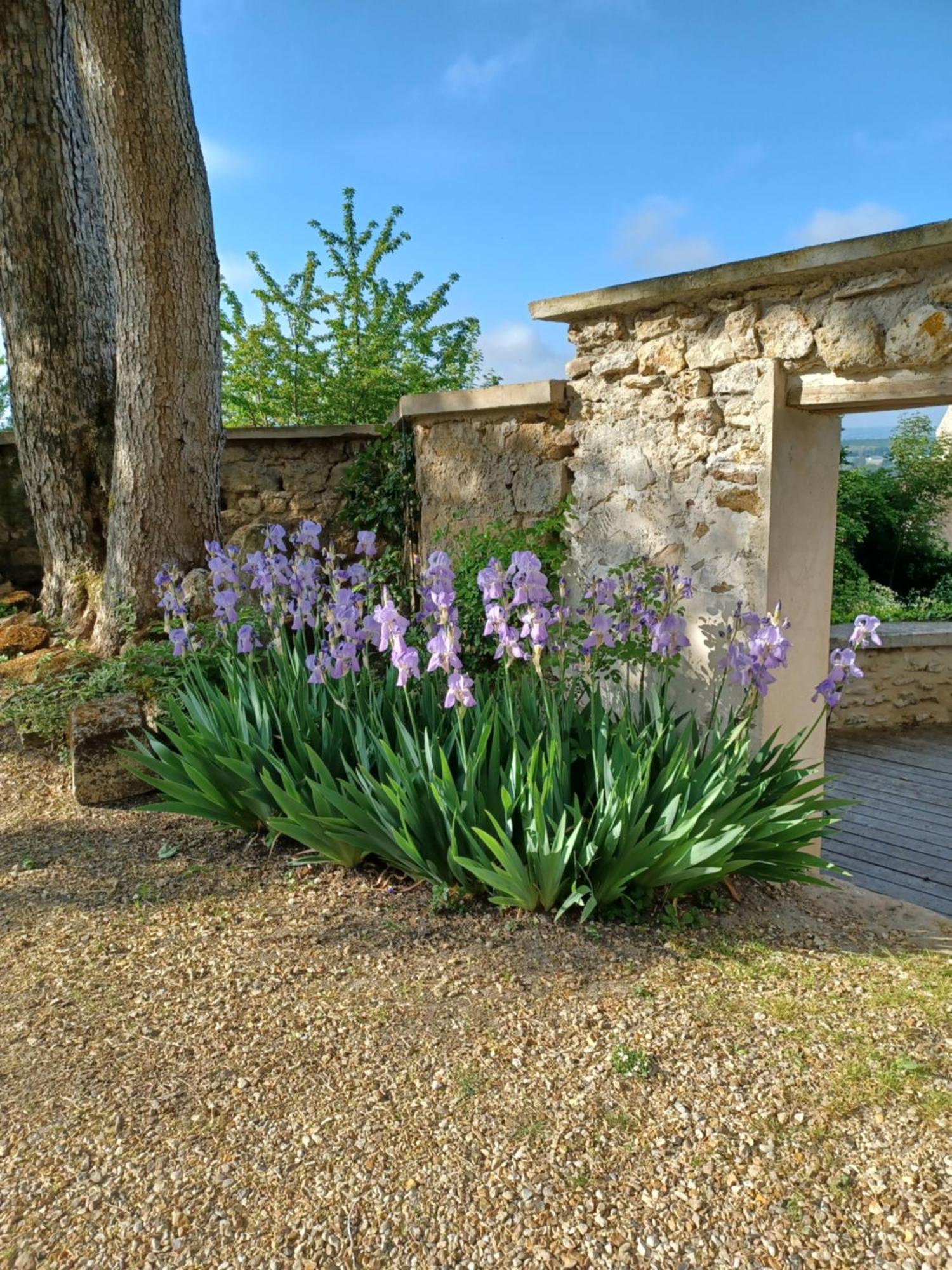 Le Verger Vaux-Sur-Seine Exteriér fotografie